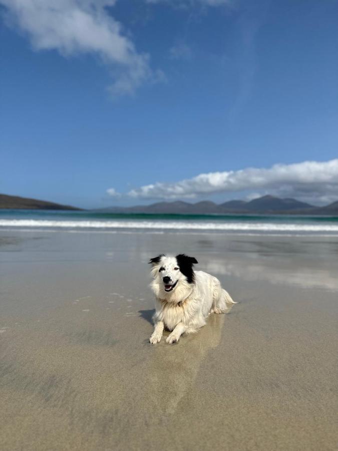 Kinnoull House Near Stornoway Hot-Tub Sauna Pet Friendly Garrabost Exteriör bild